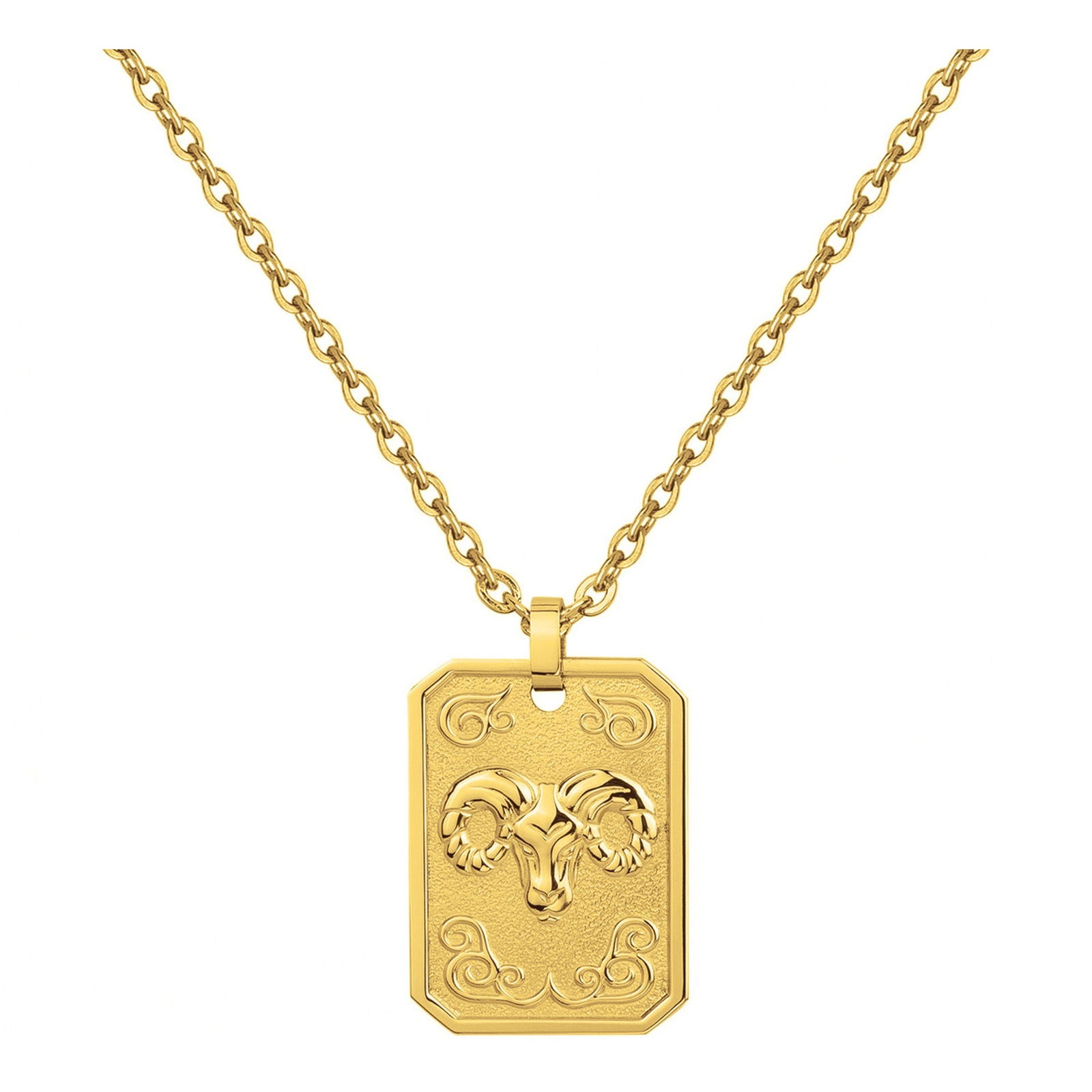 COLL. ACIER IPG MEDAILLE BELIER-50+10CM