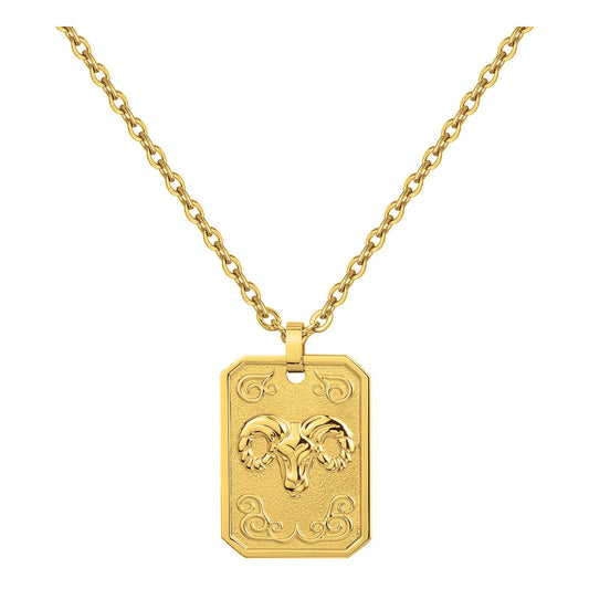 COLL. ACIER IPG MEDAILLE BELIER-50+10CM