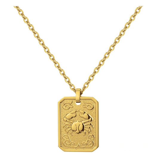 COLL. ACIER IPG MEDAILLE CANCER-50+10CM