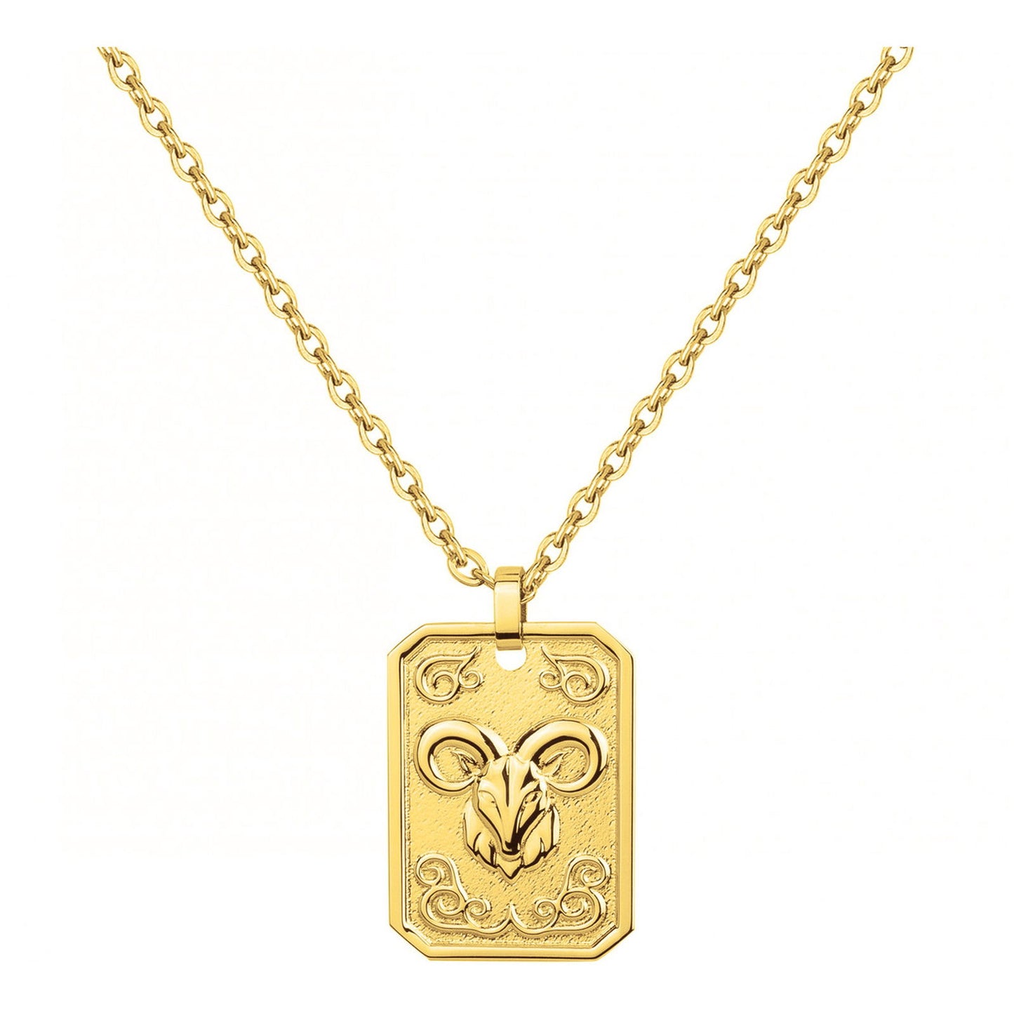 COLL. ACIER IPG MEDAILLE CAPRICORNE-50+10CM
