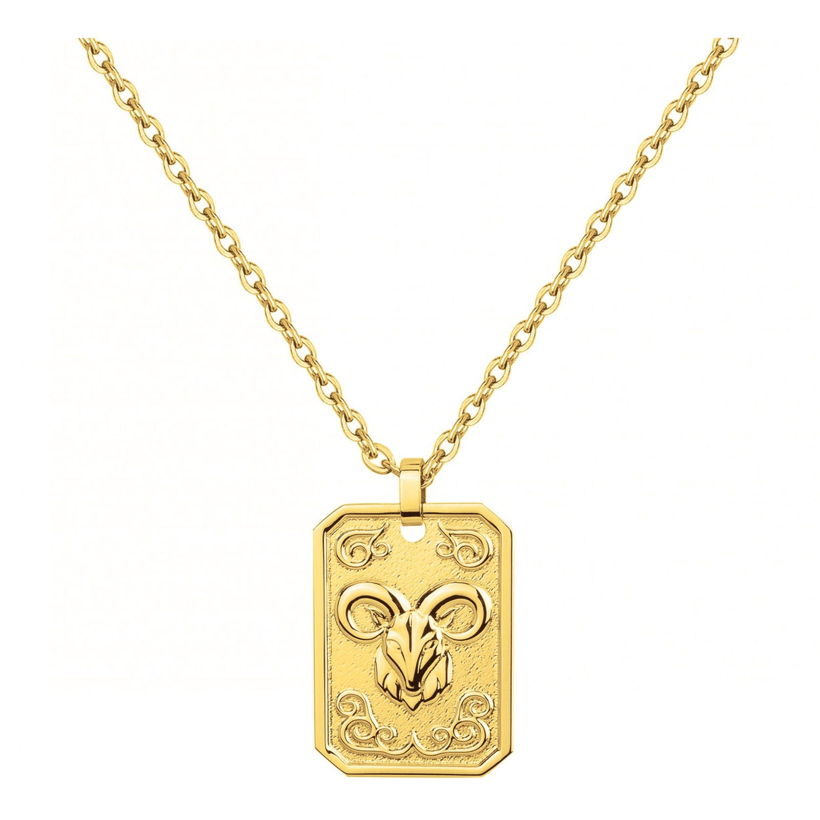 COLL. ACIER IPG MEDAILLE CAPRICORNE-50+10CM