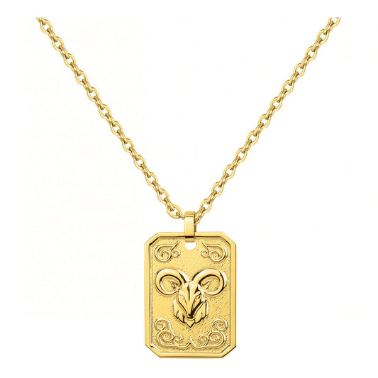 COLL. ACIER IPG MEDAILLE CAPRICORNE-50+10CM