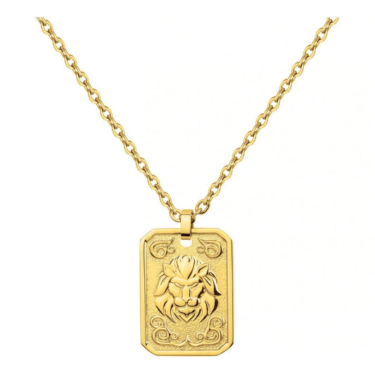 COLL. ACIER IPG MEDAILLE LION-50+10CM
