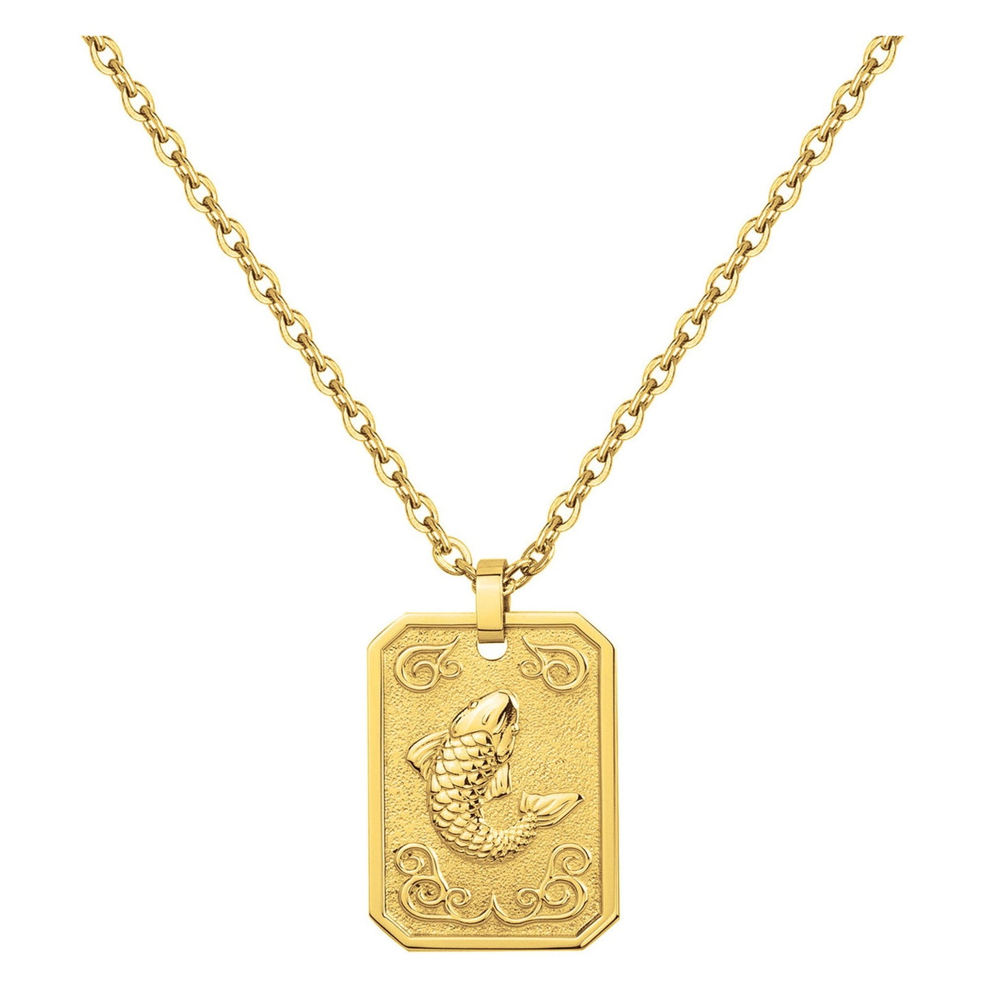 COLL. ACIER IPG MEDAILLE POISSON-50+10CM