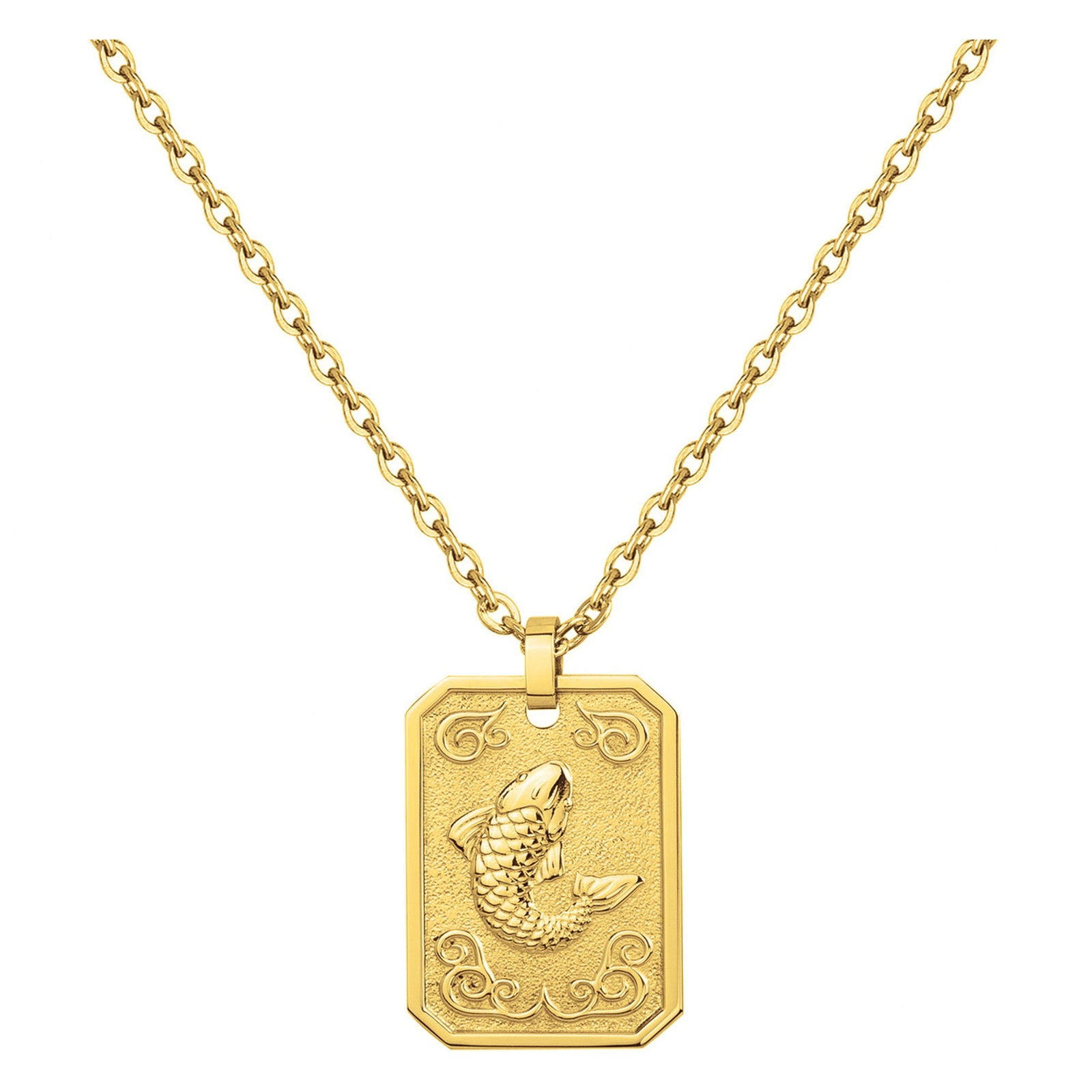 COLL. ACIER IPG MEDAILLE POISSON-50+10CM