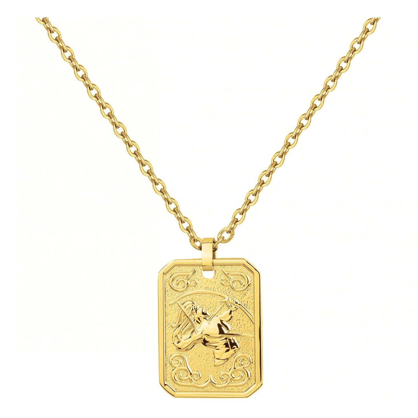 COLL. ACIER IPG MEDAILLE SAGITTAIRE-50+10CM