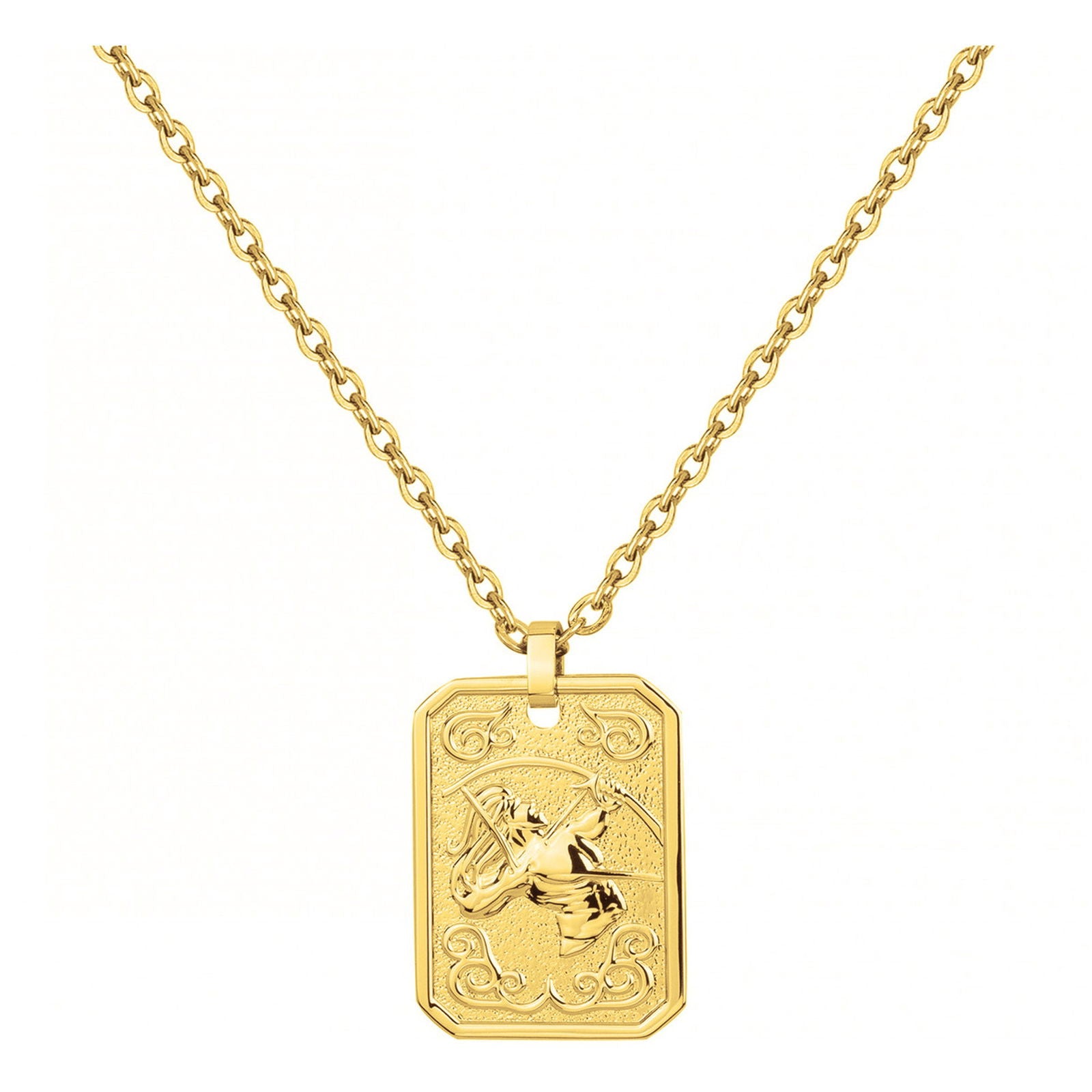 COLL. ACIER IPG MEDAILLE SAGITTAIRE-50+10CM