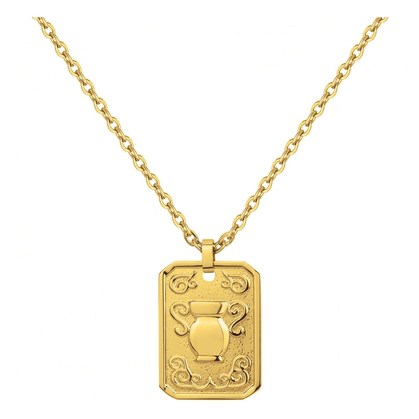 COLL. ACIER IPG MEDAILLE VERSEAU-50+10CM