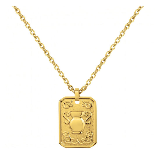 COLL. ACIER IPG MEDAILLE VERSEAU-50+10CM