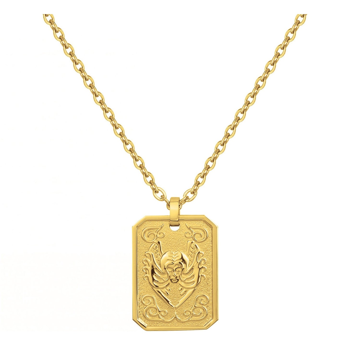 COLL. ACIER IPG MEDAILLE VIERGE-50+10CM