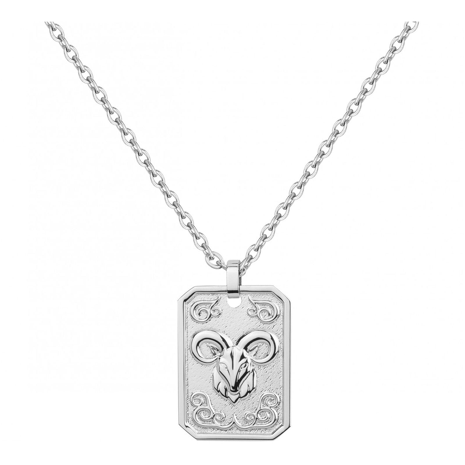 COLL. ACIER MEDAILLE CAPRICORNE-50+10CM