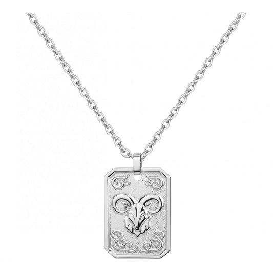 COLL. ACIER MEDAILLE CAPRICORNE-50+10CM
