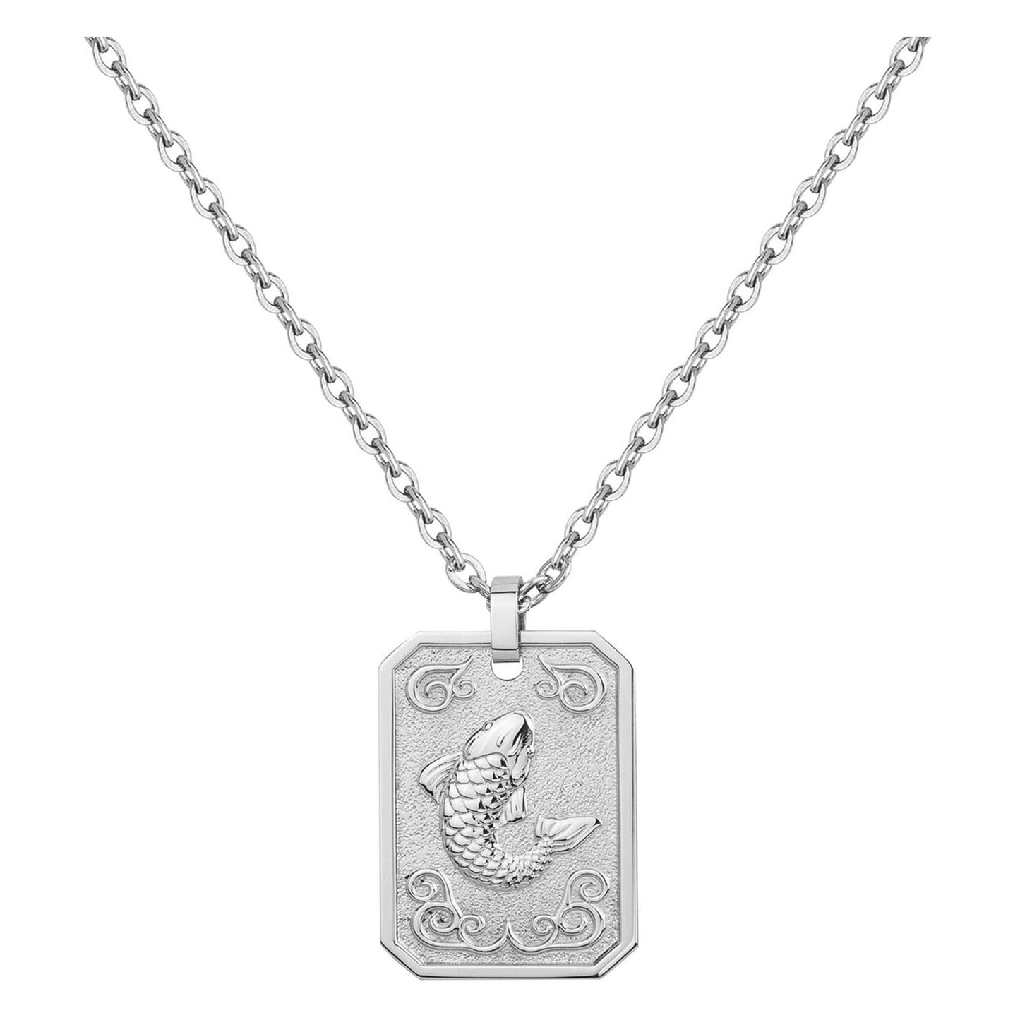 COLL. ACIER MEDAILLE POISSON-50+10CM